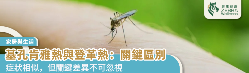 基孔肯雅熱與登革熱：關鍵區別