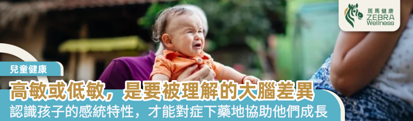 高敏或低敏，是要被理解的大腦差異