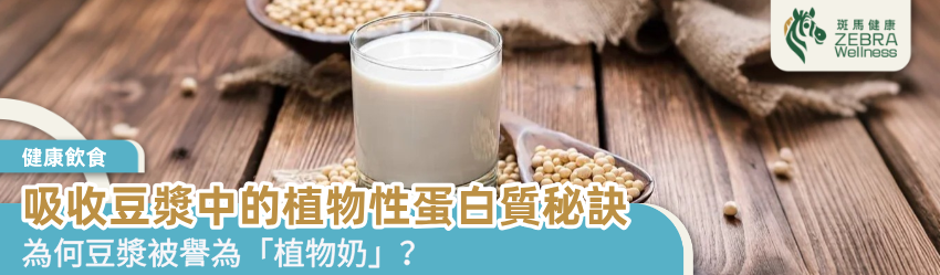 吸收豆漿中的植物性蛋白質秘訣
