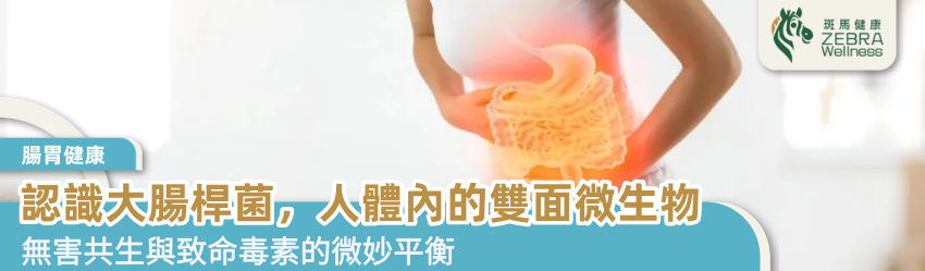 認識大腸桿菌，人體內的雙面微生物
