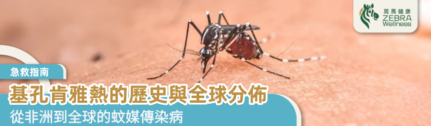 基孔肯雅熱的歷史與全球分佈