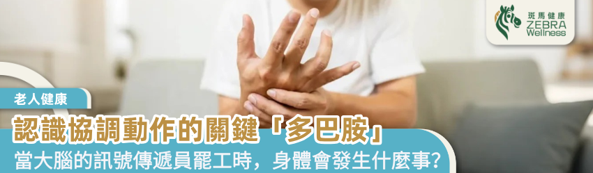 認識協調動作的關鍵「多巴胺」