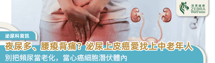 夜尿多、腰痠背痛？泌尿上皮癌愛找上中老年人