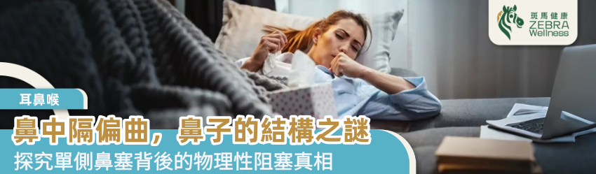 鼻中隔偏曲，鼻子的結構之謎