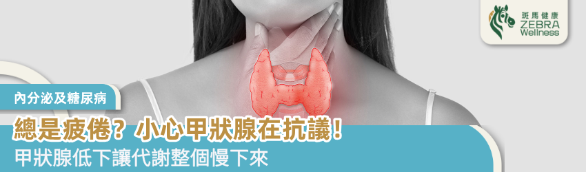 總是疲倦？小心甲狀腺在抗議！