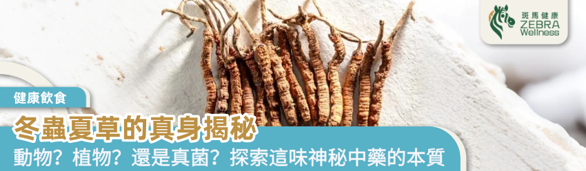 冬蟲夏草的真身揭秘